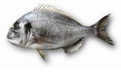 Pesce al naturale