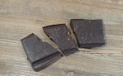 (Pochi) vizi e (molte) virtù del cioccolato